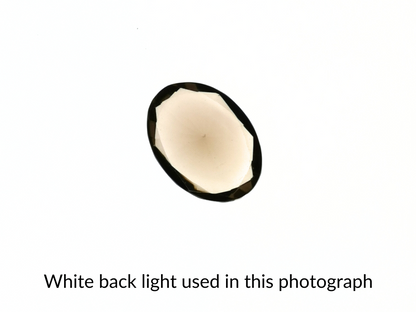 Smoky Quartz Oval - 25.7mm by 18.8mm - 31.66 ct