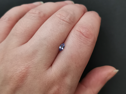 Tanzanite Marquise - 5.9mm by 2.9mm - 0.23 ct