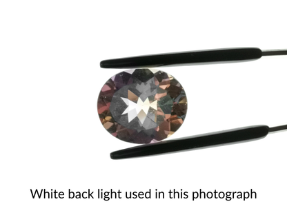 Purple and Yellow Ametrine Oval - 14mm by 11.9mm - 6.79 ct