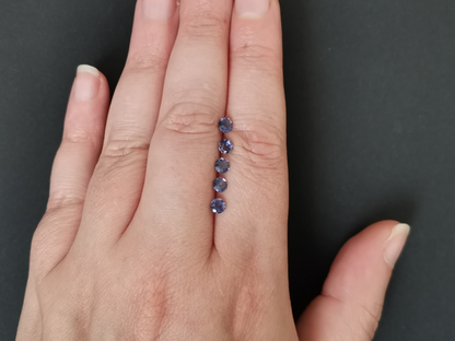 5 x Violet-Blue Iolite Rounds - Bundle - Approx. size 4mm