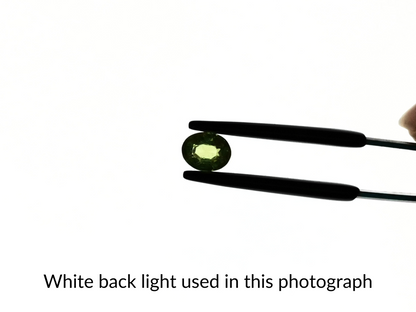 Peridot Oval - 7mm by 5.5mm - 1.02 ct