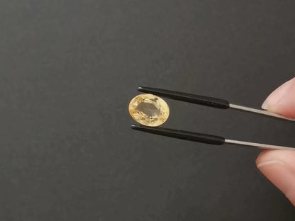 Golden Citrine Oval - 10.9mm by 8.57mm - 3.67 ct